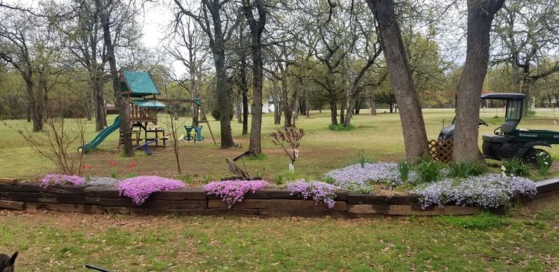 Fuqua Park and the Outdoors That Locals Swear By