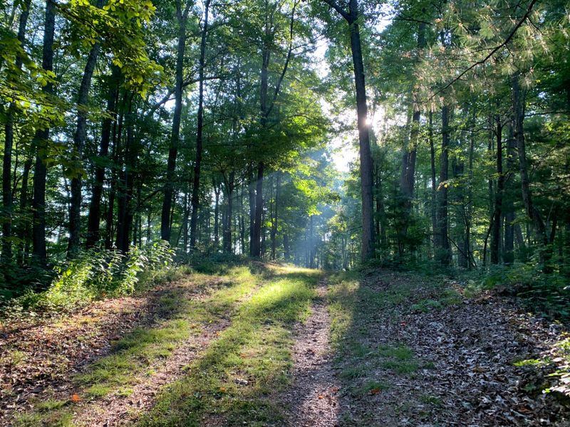 A Home Base For Quiet Adventure