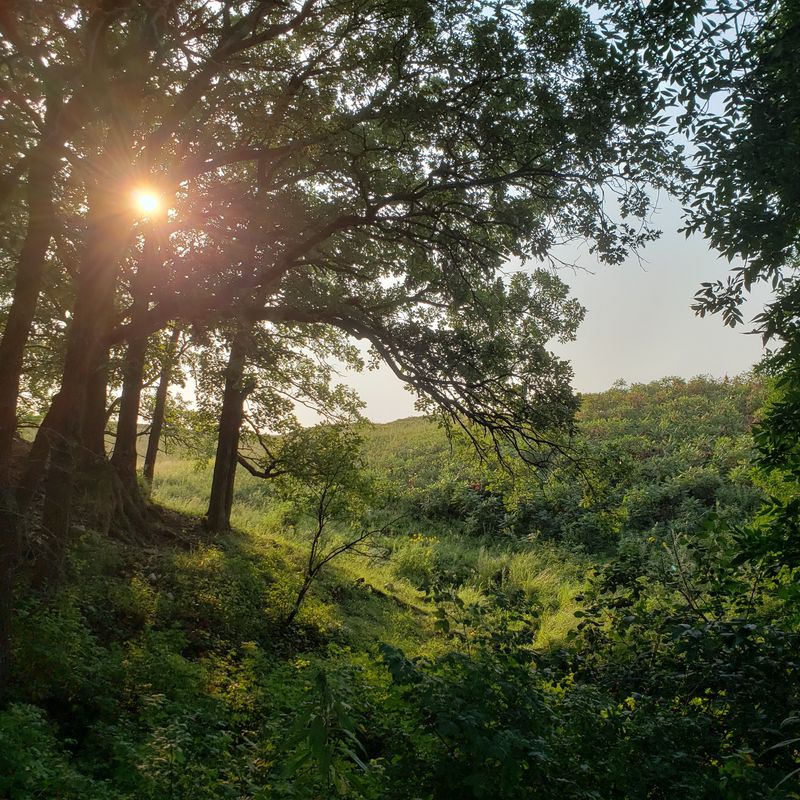 Where The Plains Suddenly Drop Into A Hidden Hollow