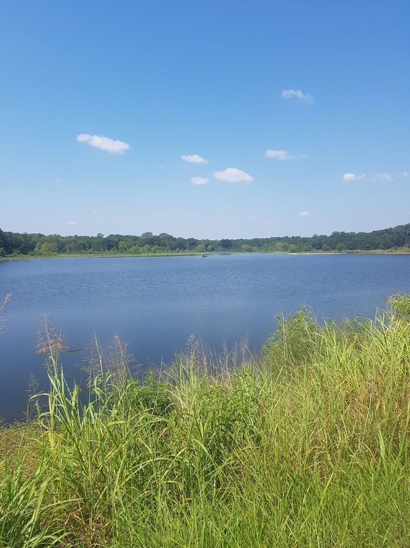 The Budget Reality Nobody Wants to Discuss