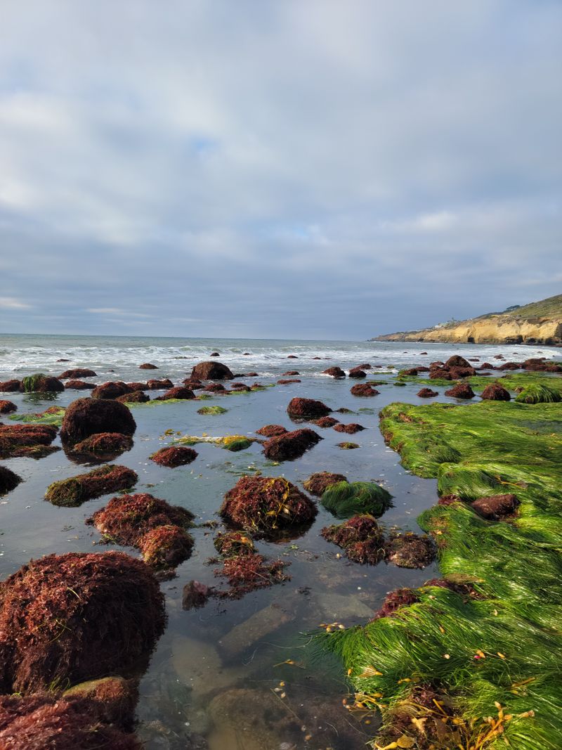 Flipping Rocks To Peek Under Them And Forgetting To Put Them Back