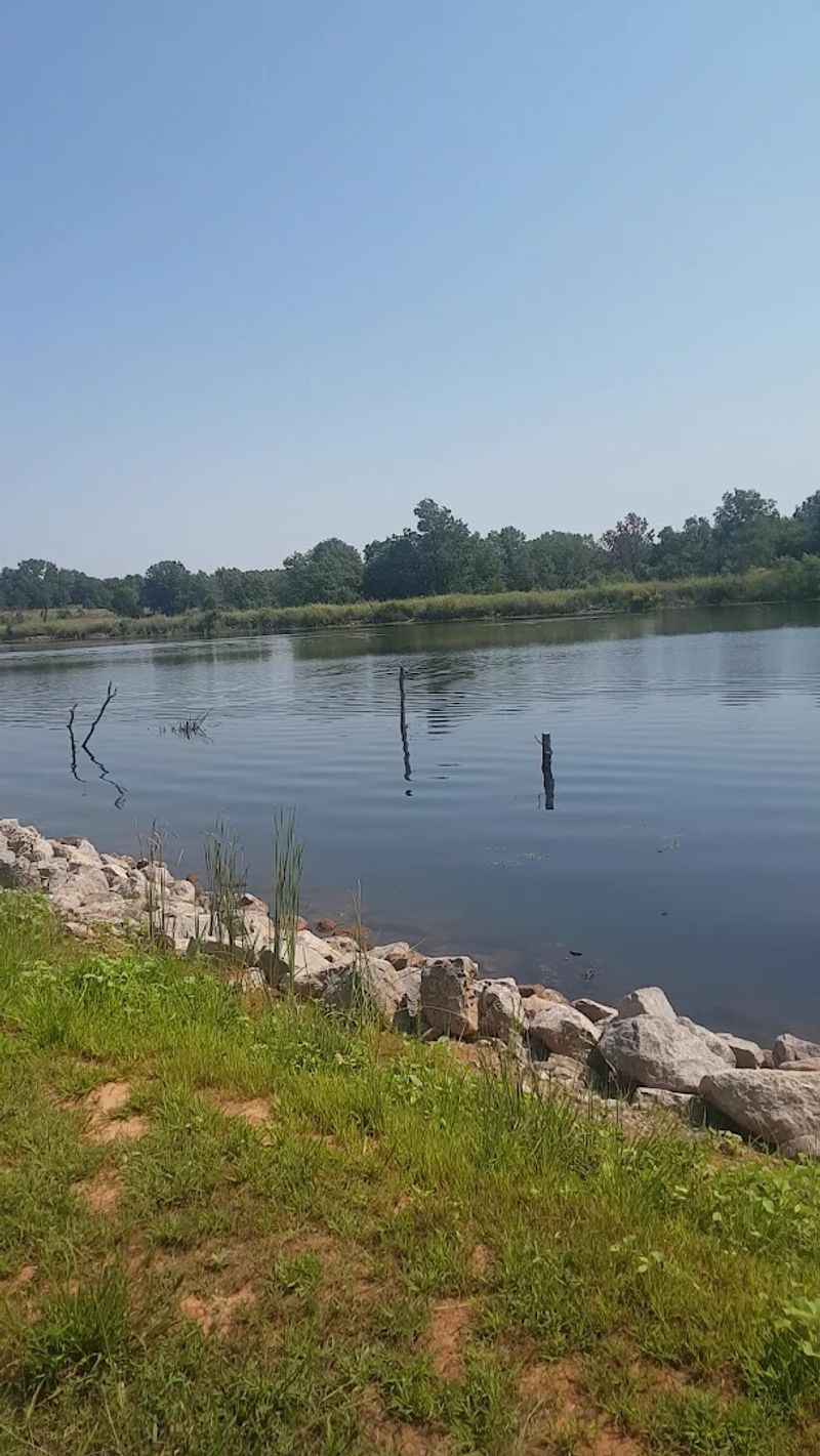 Vegetation Overload and the Battle for Access