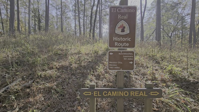 Walking El Camino Real, One of North America's Oldest Roads