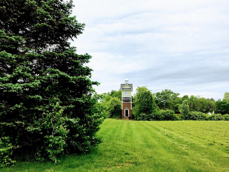 Traders Point Creamery Connects You Back to the Land
