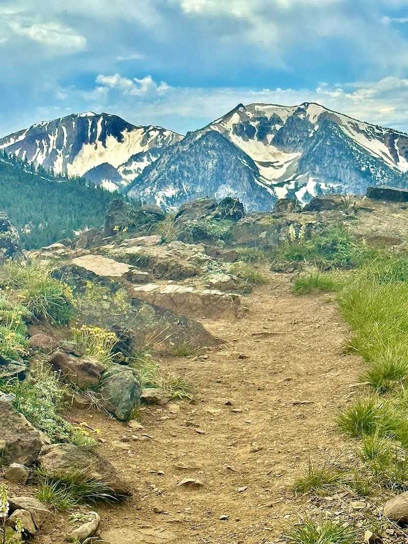 Two Miles of Alpine Hiking Trails