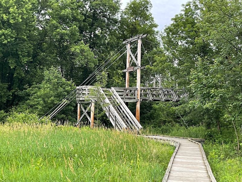 Family-Friendly Hiking: Why This Trail Works for All Ages