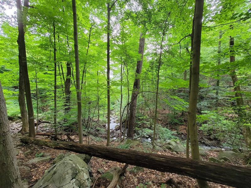 The Challenge That Rewards Preparation