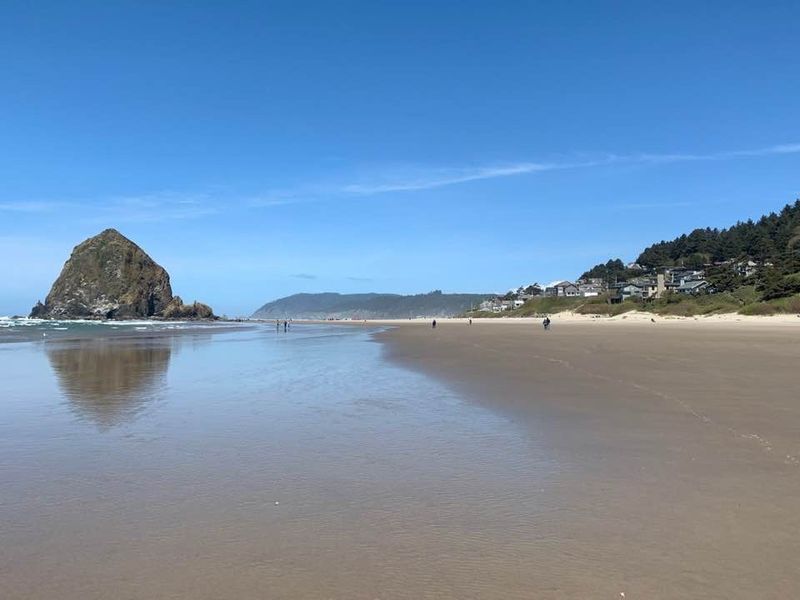 Puffin Watching Season Brings Rare Birds to Shore