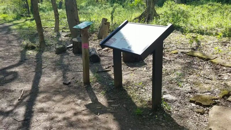 Hidden Stone Foundations You Can Explore Today