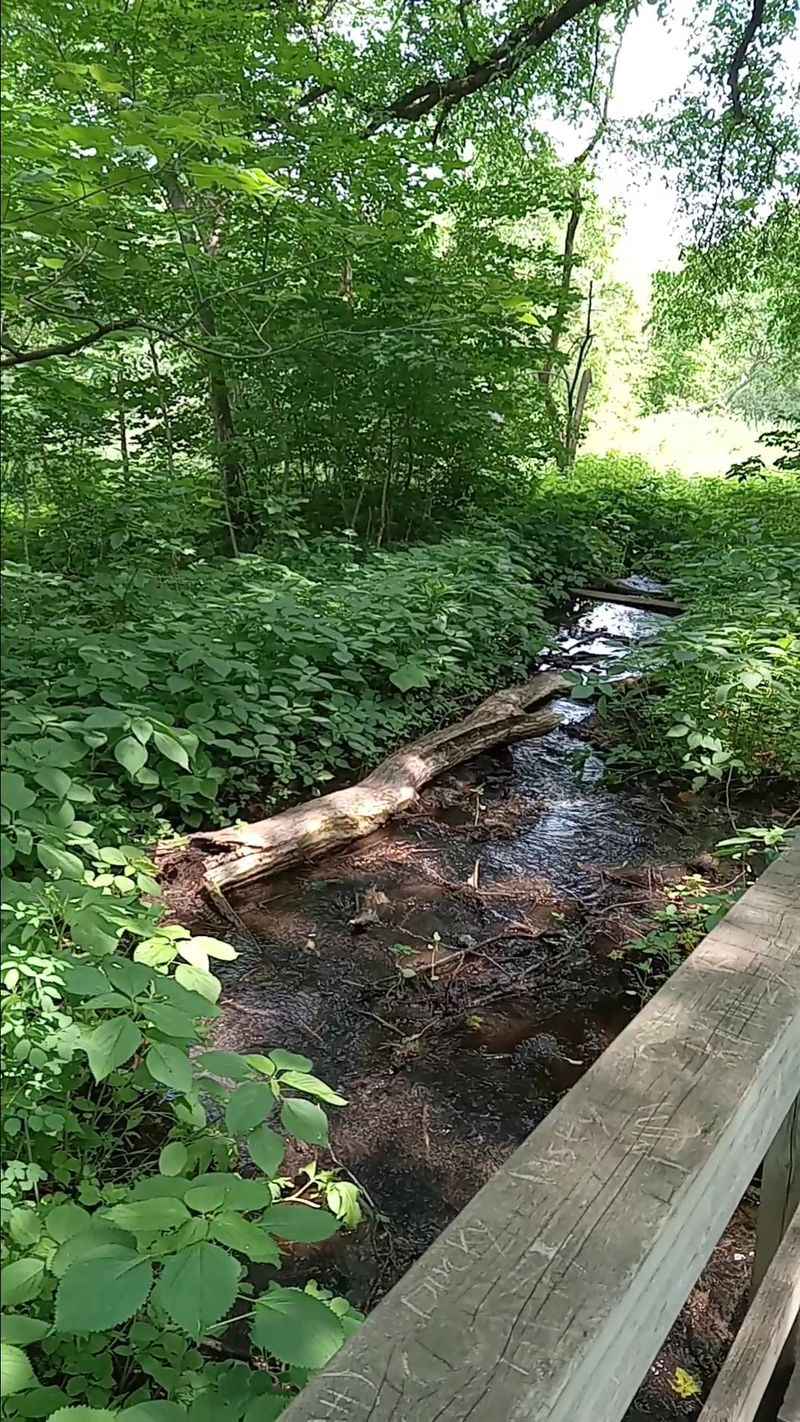 Wind And Echo That Can Sound Like Voices