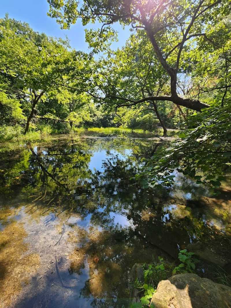 Why Early Morning Visits Change Everything