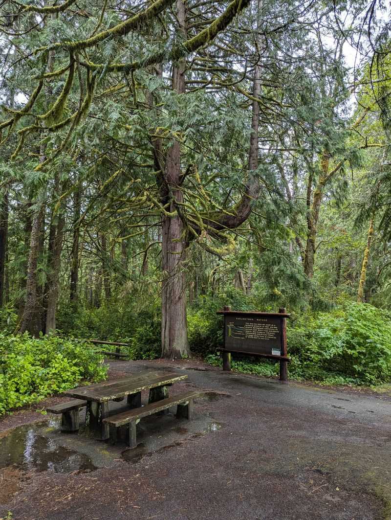 Picnic Tables and Restrooms Make This a Perfect Rest Stop