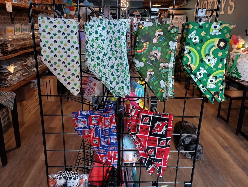 Dog Accessories and Clothing That Actually Impress