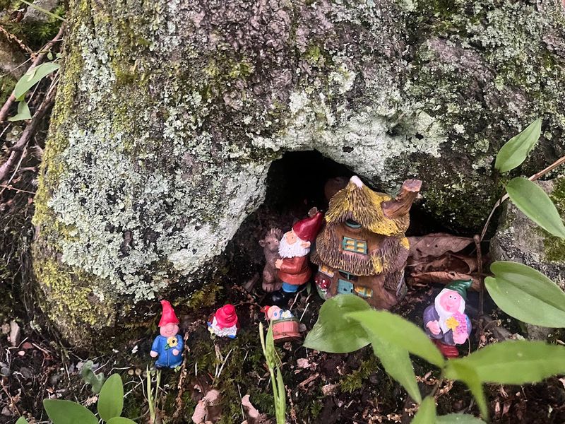 The Gnome Hunt Begins