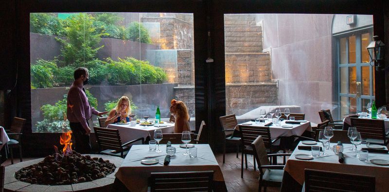 A Garden Waterfall That Steals Every Glance