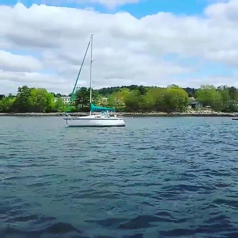 Belfast In Spring Feels Like Maine Before Everyone Shows Up