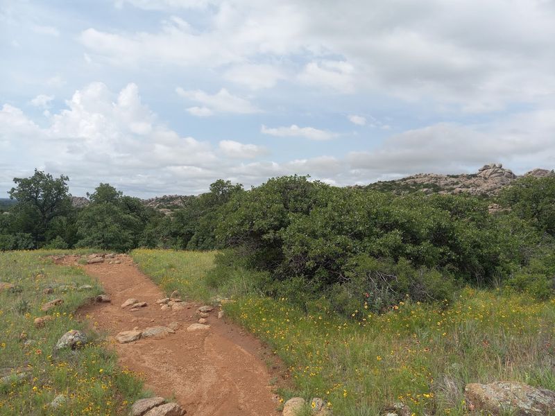 Wildlife And Plants Add Unexpected Moments