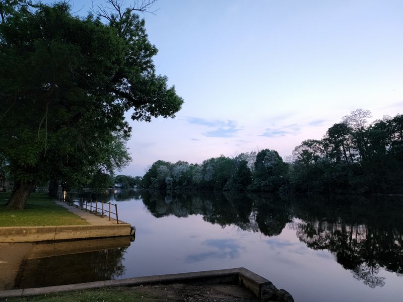 Wildlife Watching Lost Its Magic