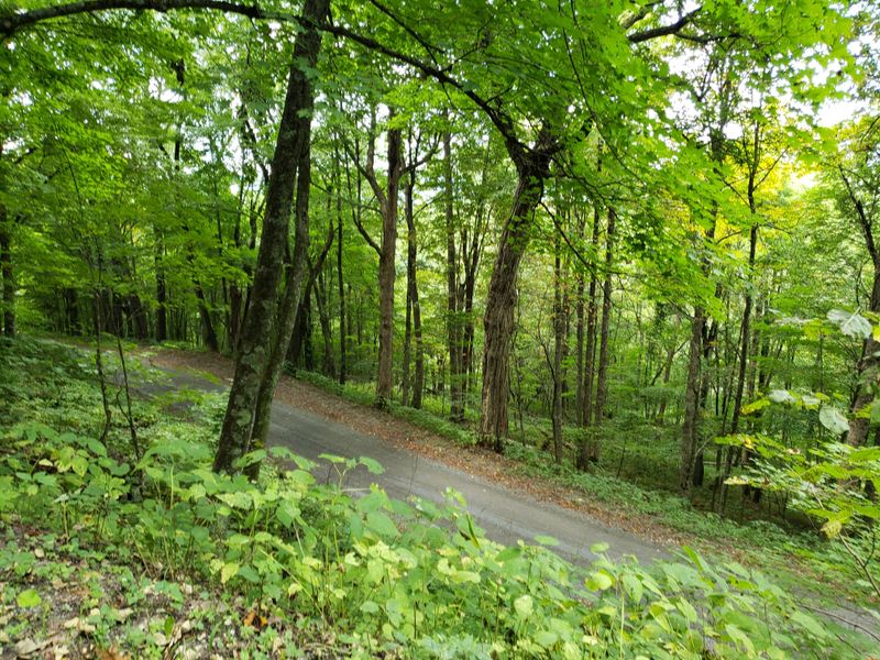 Species That Exist Nowhere Else