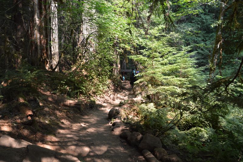 The Challenging Lava Rock Scramble