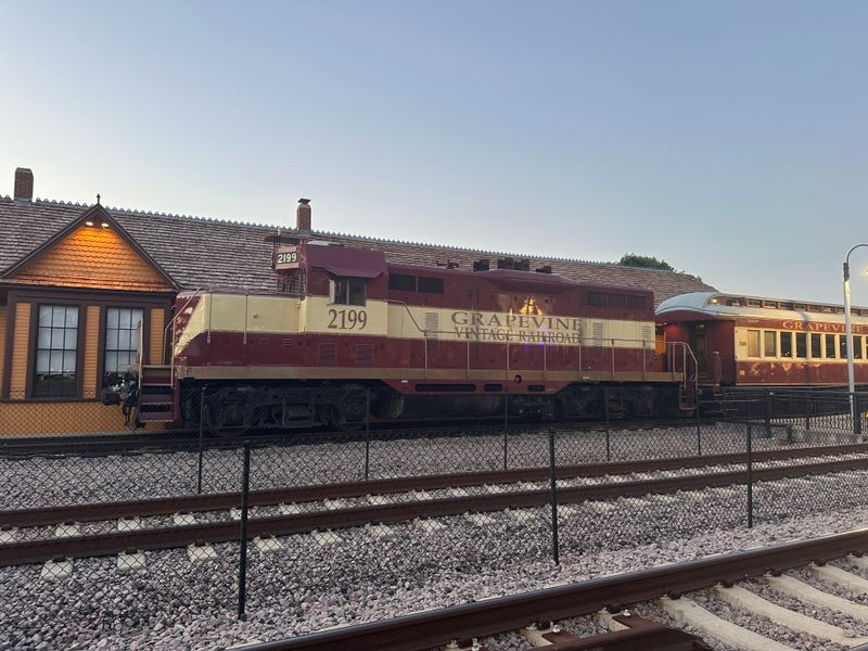 Wildlife Spotting Along the Rails