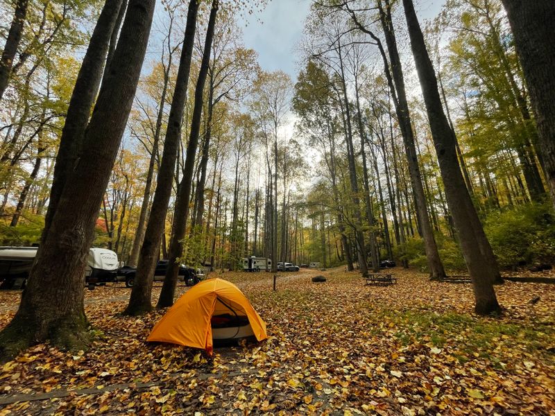 Yes, It Is A Real Visitor Area