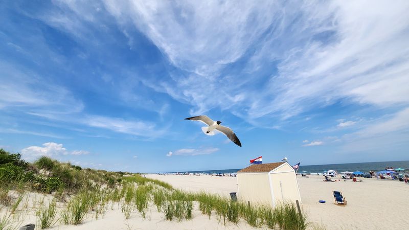 Birdwatching Heaven: Why Birders Make This a Pilgrimage Spot