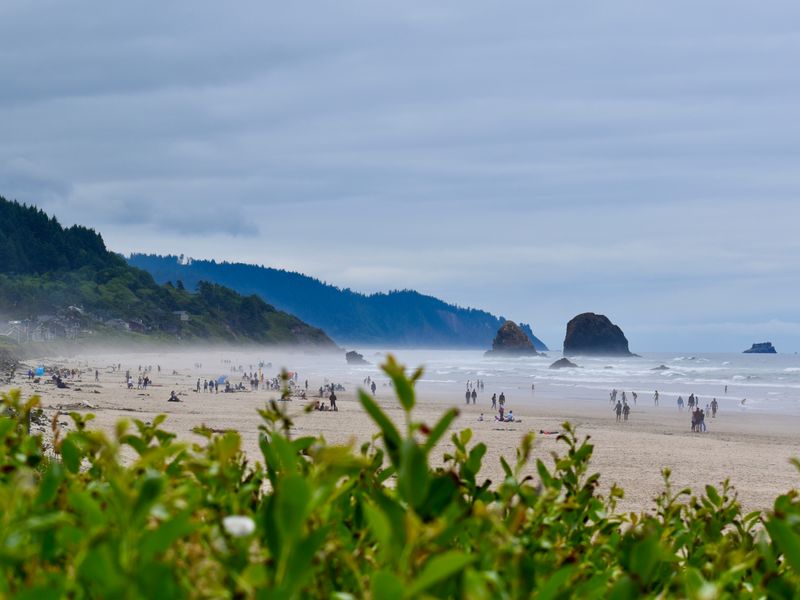 Year-Round Events and Community Spirit