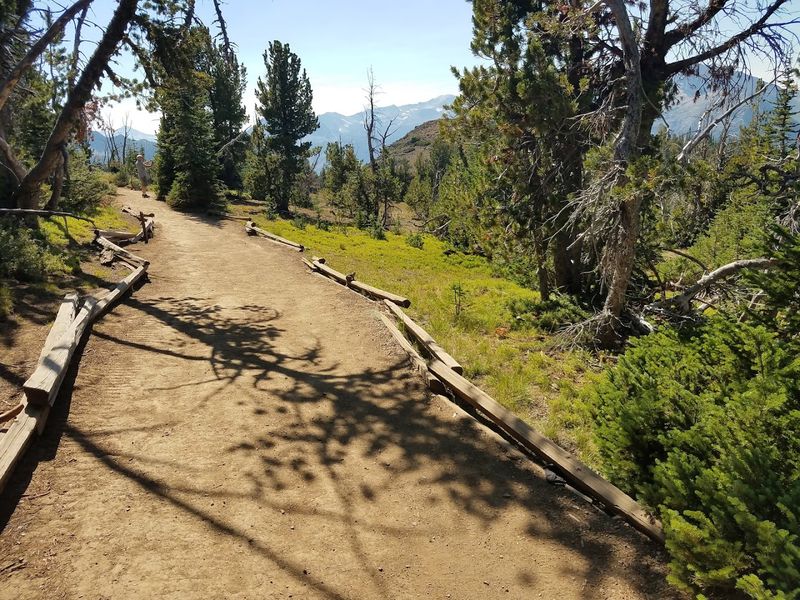 Combining the Tramway with Other Wallowa Lake Activities