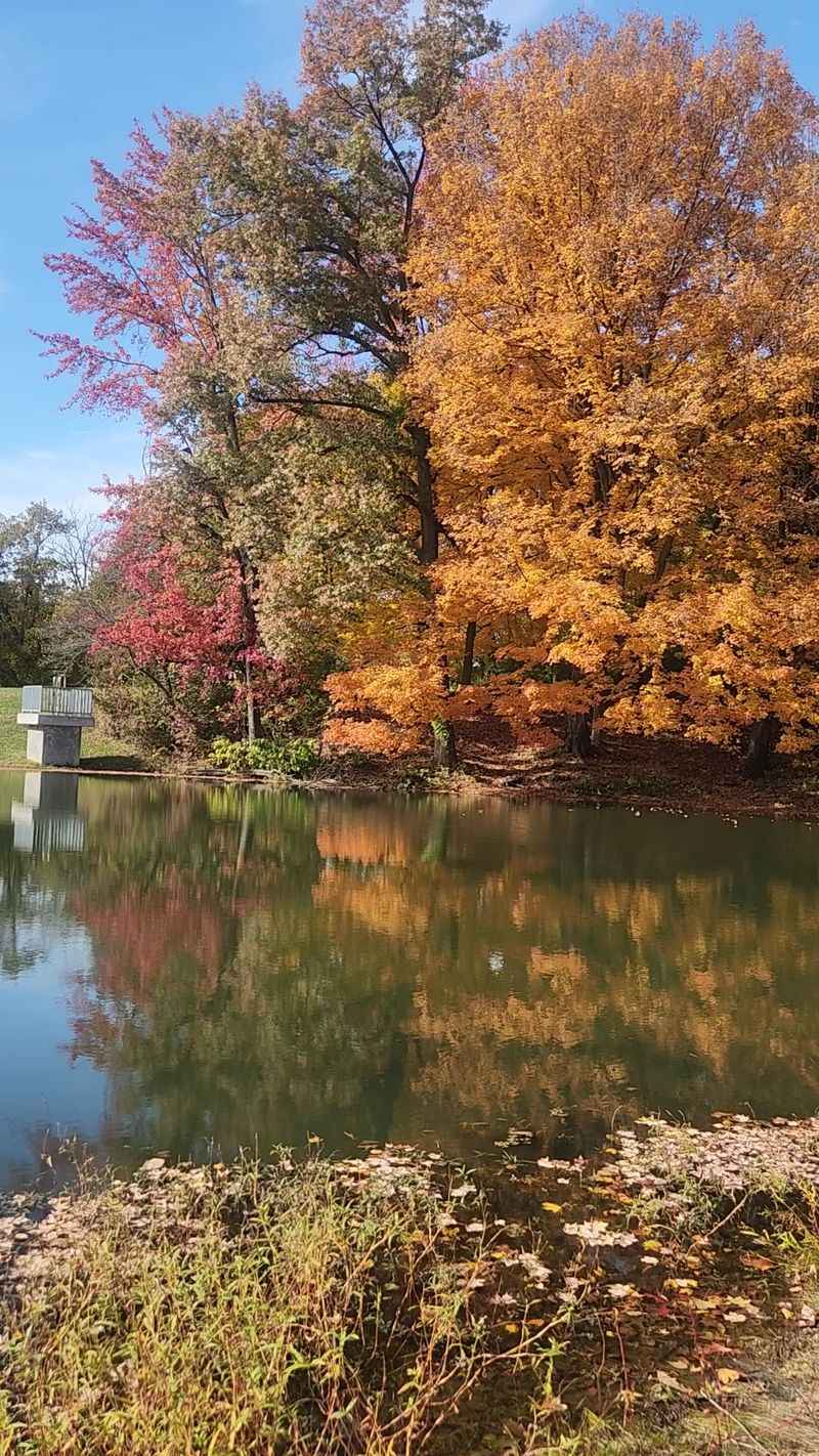 A 750 Foot Boardwalk Puts You Right Over The Water