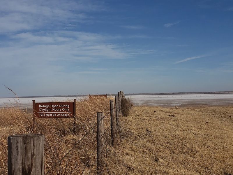 The Bathroom Situation Has Become a Real Problem