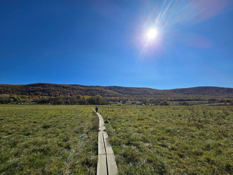 What to Eat Before or After Your Hike in the Glenwood Area