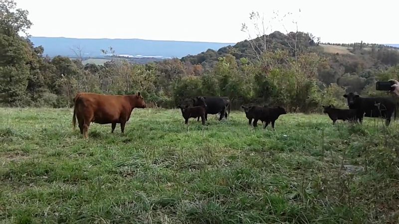 Support Local Farms and Sustainable Tourism