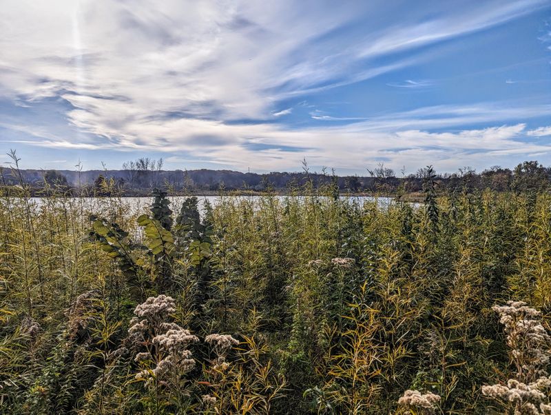 Hidden Lake Forest Preserve