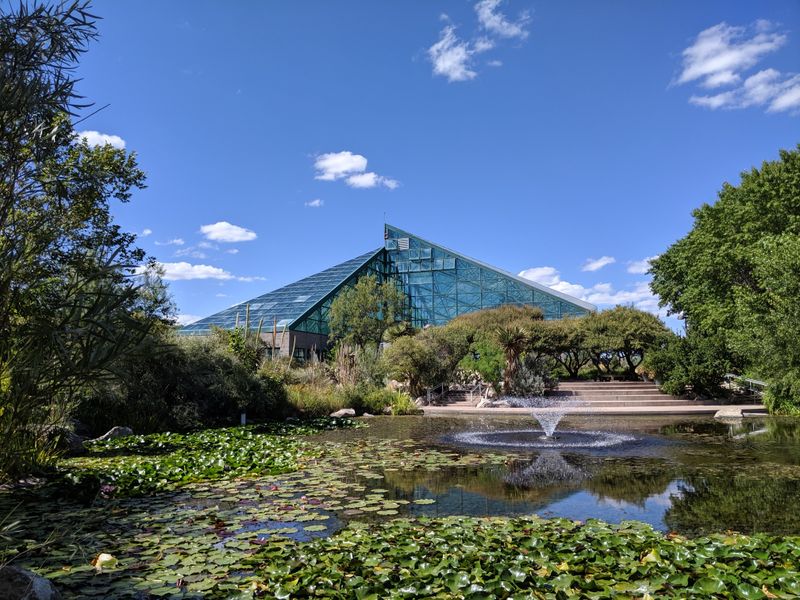 ABQ BioPark Botanic Garden