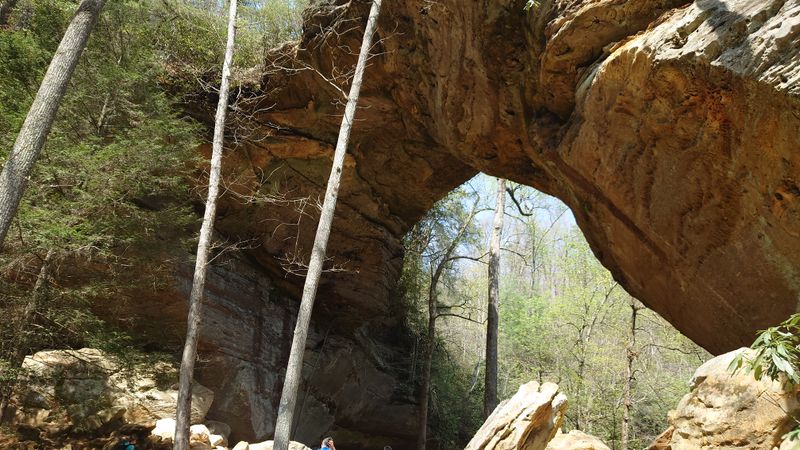 Natural Landscapes Feel Surprisingly Diverse (Good)