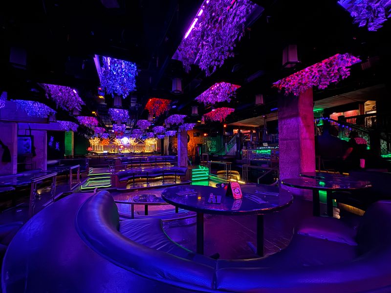 Beetle House LA