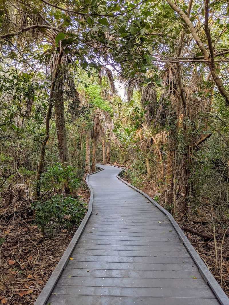 J.N. “Ding” Darling National Wildlife Refuge 