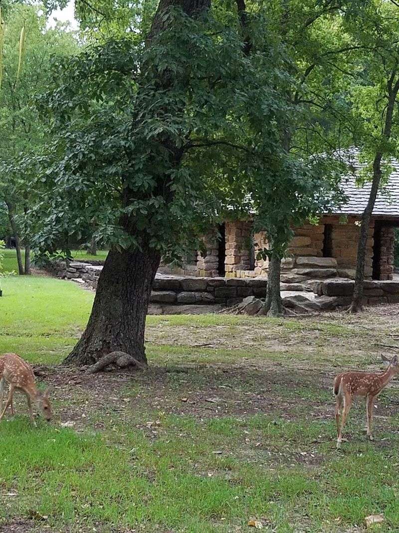 The First Moment You Arrive at Bromide Springs