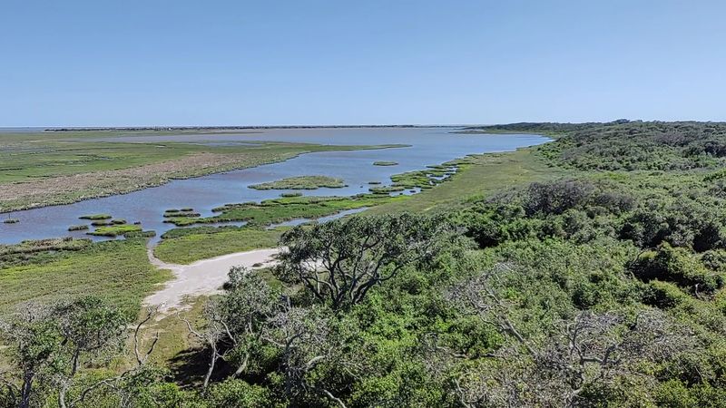 Aransas National Wildlife Refuge