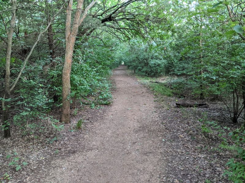 The First Step Onto The Trail Hits Differently