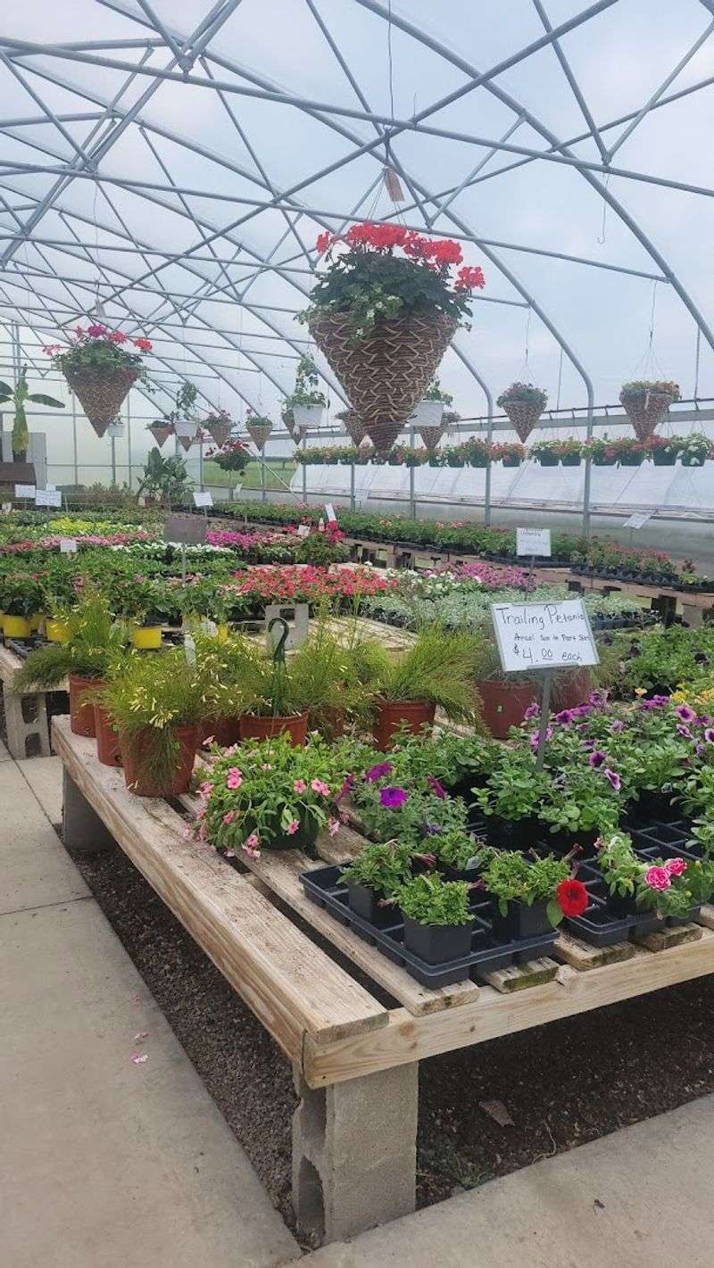 Plants That Actually Want To Live