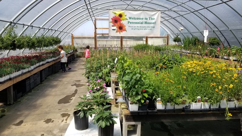 Three Grand Greenhouses Worth Getting Lost In