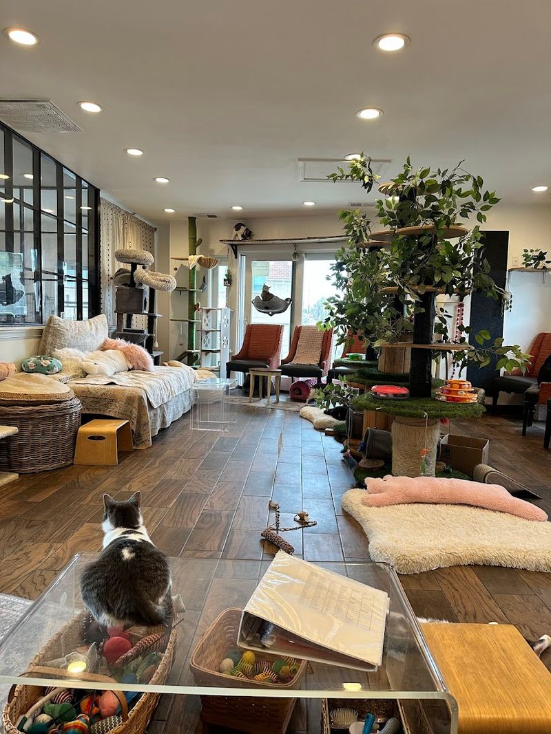 A Welcoming Space That Feels Like Home