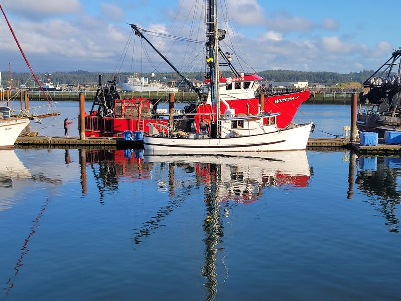 Dungeness Capital Location