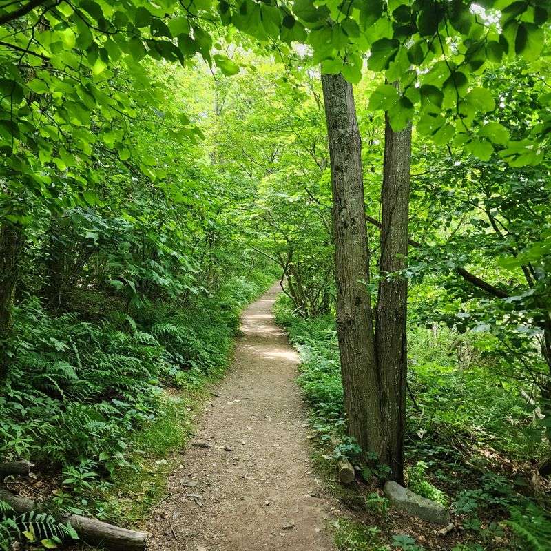 The Trail That Practically Hikes Itself