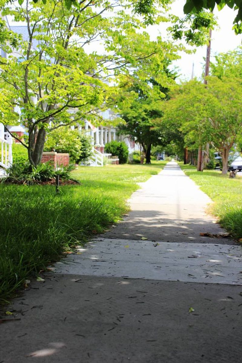 The Historic Downtown District That Time Capsule Vibes