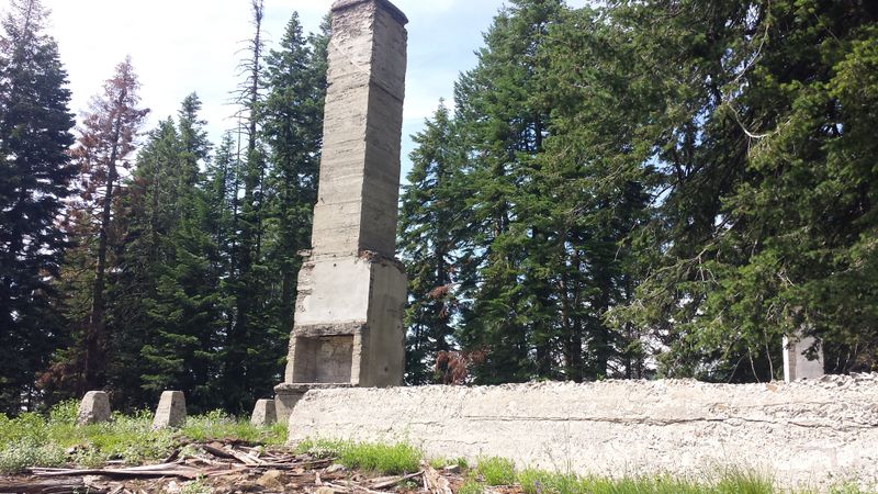 Gold Rush Origins and the Town's Explosive Birth