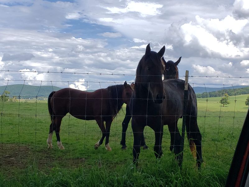 The Valley That Time Forgot