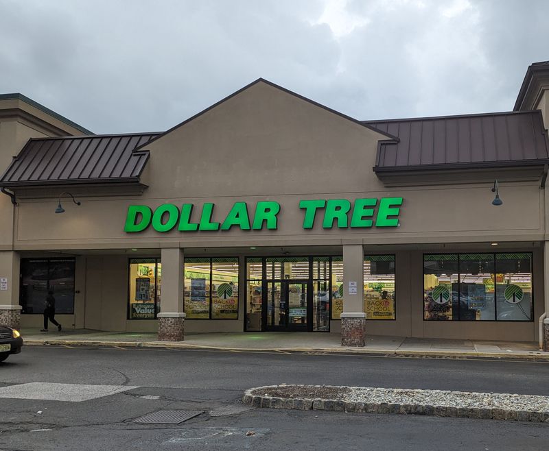 A Spacious Layout That Redefines Dollar Store Shopping